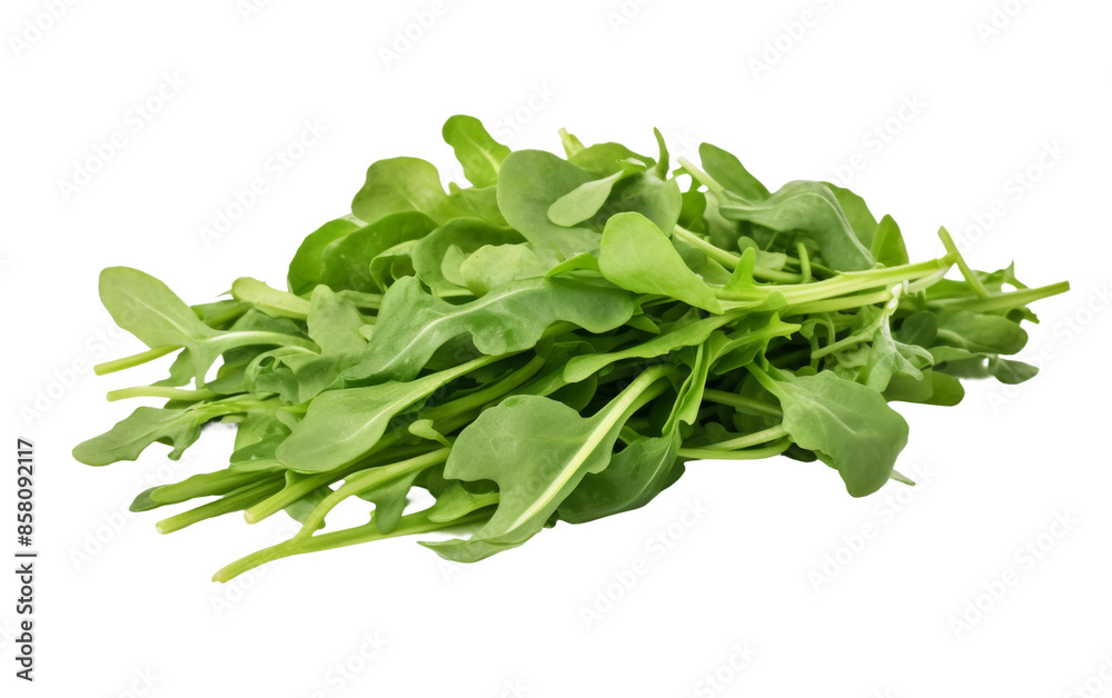 Farm Fresh Arugula on Transparent Background Farm Fresh Arugula on Transparent Background