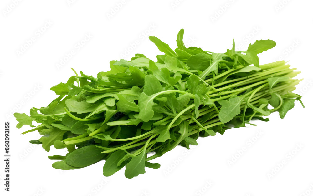 Fresh Arugula Isolated on Transparent Background Fresh Arugula Isolated on Transparent Background