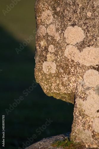 Detail of the Hurlers Stone Circle Bodmin Moor Cornwall on the summer solstice photo