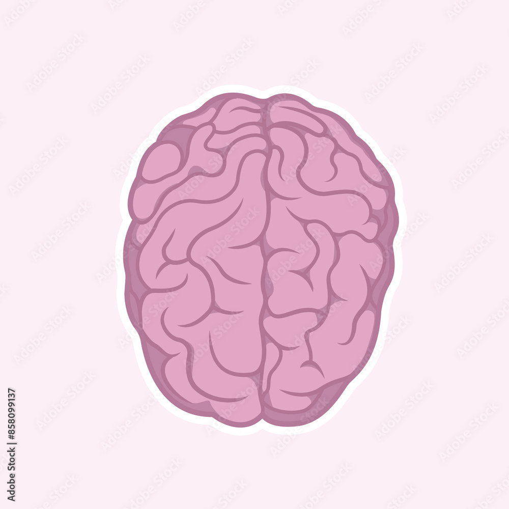 Brain Vector Cute Illustration Brain Vector Cute Illustration