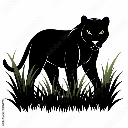 A black panther stalking through long grass white