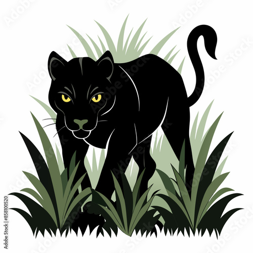 A black panther stalking through long grass white