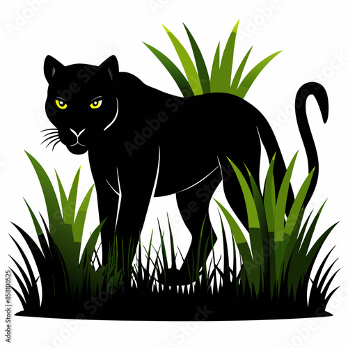 A black panther stalking through long grass white