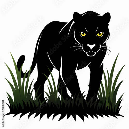 A black panther stalking through long grass white