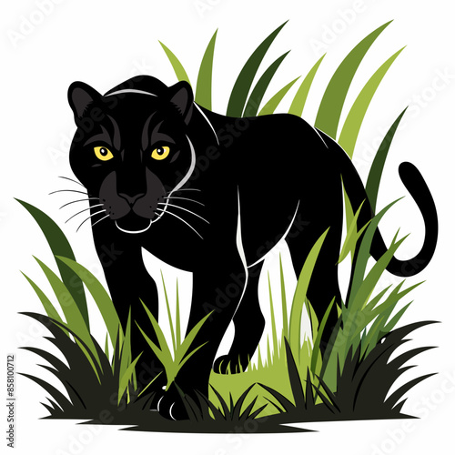 A black panther stalking through long grass white