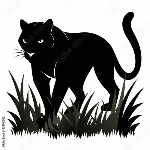 A black panther stalking through long grass white