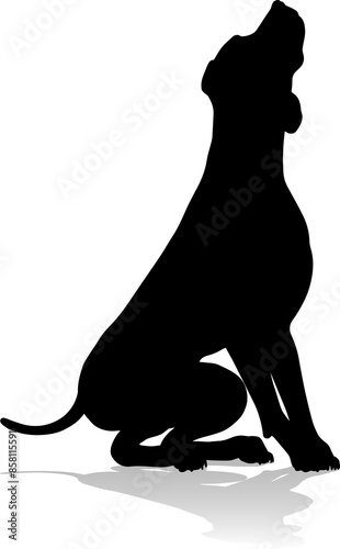 Dog Silhouette Pet Animal photo