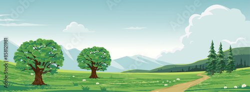 forest and mountain views with dirt roads in the area