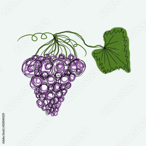 Hand drawn illustration, grapes, childish, colorful, kids, book
