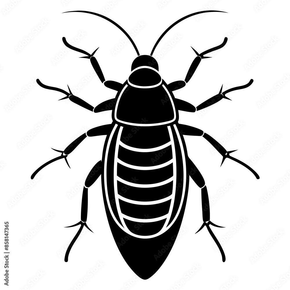 Madagascar hissing cockroach vector Madagascar hissing cockroach vector