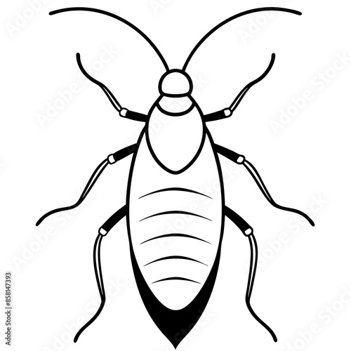 Madagascar hissing cockroach vector