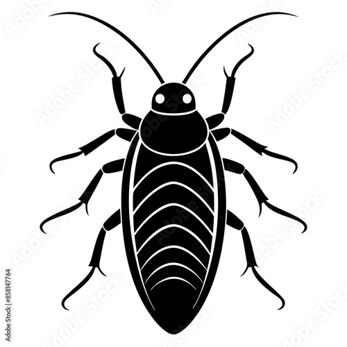 Madagascar hissing cockroach vector