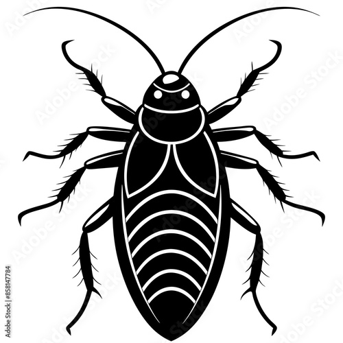 Madagascar hissing cockroach vector