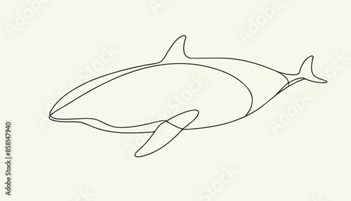 Graceful Orca Whale Illustration: A Single Line Drawing of the Killer Whale photo