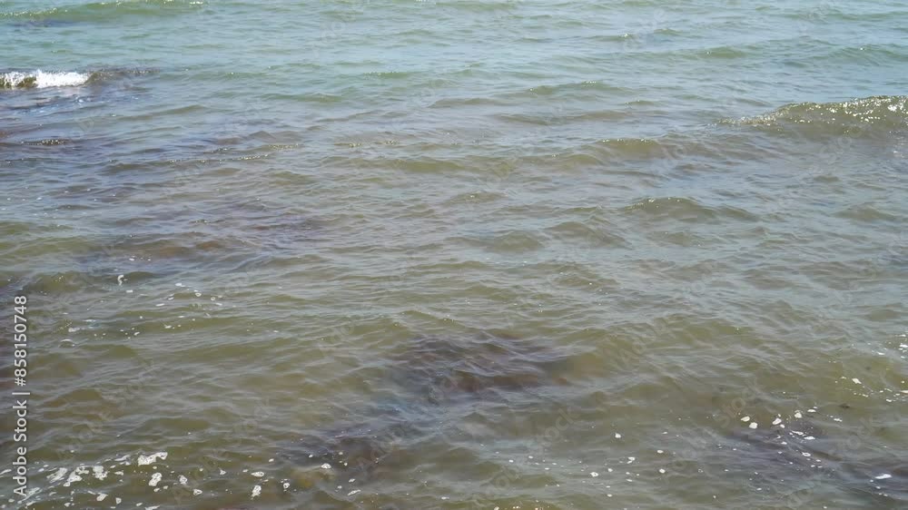 looks beautiful from the waves on the coastline looks beautiful from the waves on the coastline