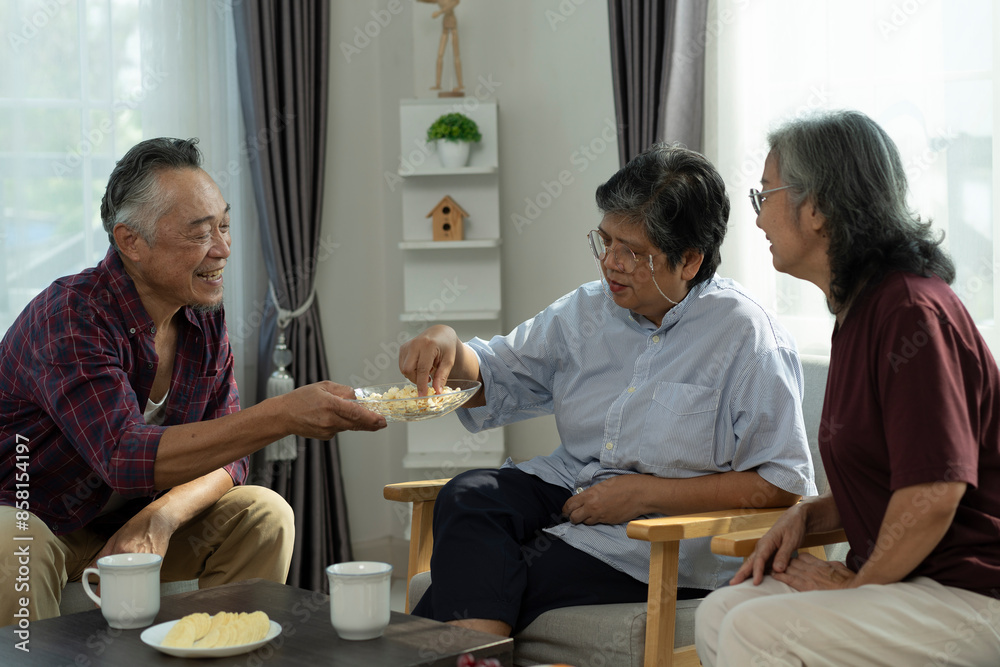 Fototapeta premium Happy Senior friends group meet and spend leisure time with happy in living room