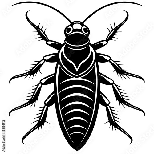Madagascar hissing cockroach vector