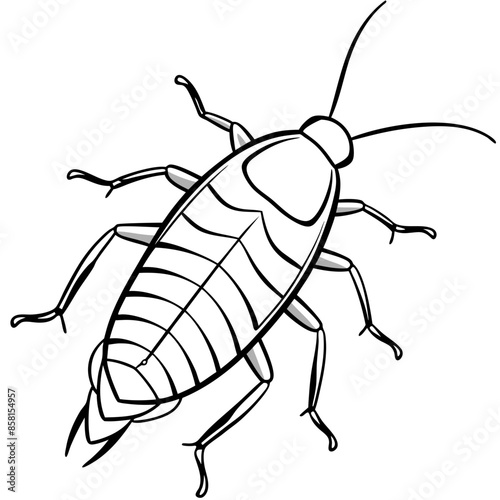 Madagascar hissing cockroach vector