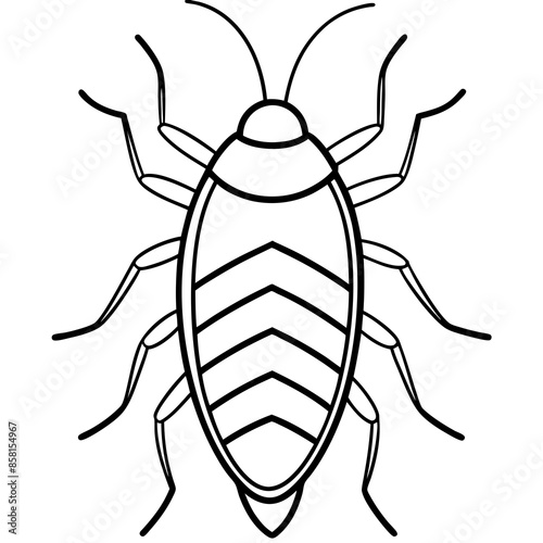 Madagascar hissing cockroach vector