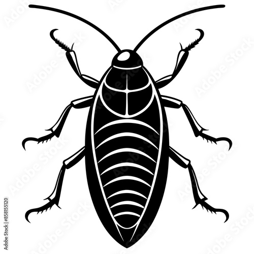 Madagascar hissing cockroach vector