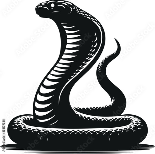 King Cobra vector illustration