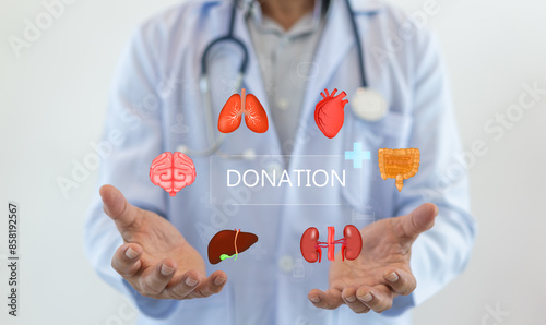 Concept of organ donation and transplantation, doctor holds with virtual icons of various human organs, including the brain, lungs, heart, liver, kidneys, and intestines, saving lives organ donation