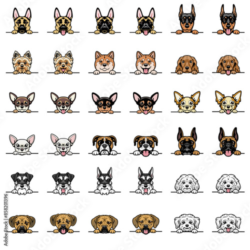 Cartoon Peeking Dog Bundle vol. 4