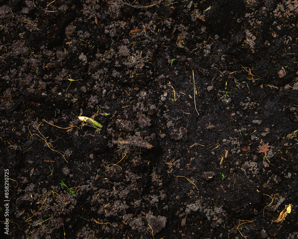 Natural compost. Plant fertilizer to improve soil. Organic farming. Agriculture background. Mix of green waste. Natural compost. Plant fertilizer to improve soil. Organic farming. Agriculture background. Mix of green waste.
