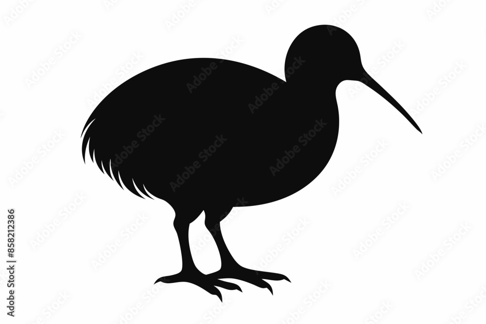 Kiwi Bird Silhouette Vector, kiwi bird animal Vector illustration
Kiwi Bird Silhouette Vector, kiwi bird animal Vector illustration