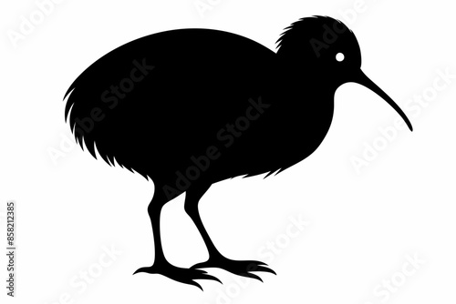 Kiwi Bird Silhouette Vector, kiwi bird animal Vector illustration
