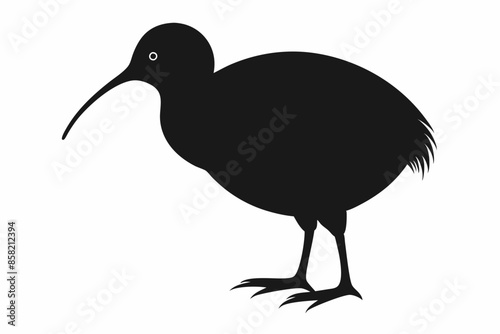 Kiwi Bird Silhouette Vector, kiwi bird animal Vector illustration
