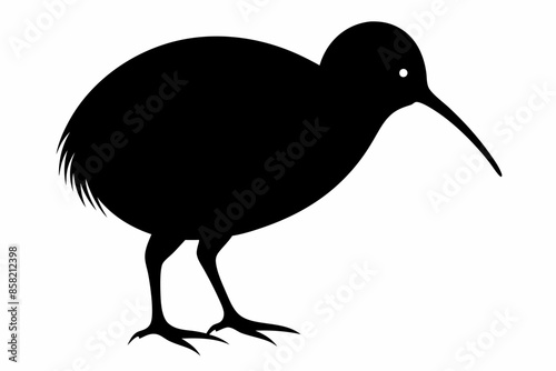 Kiwi Bird Silhouette Vector, kiwi bird animal Vector illustration
