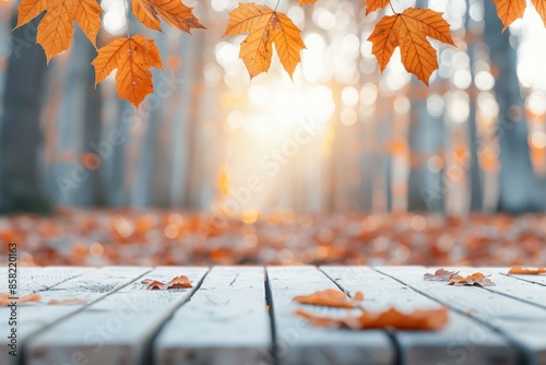 Autumn table with orange leaves on wooden plank against defocused forest background at sunset, with free space photo