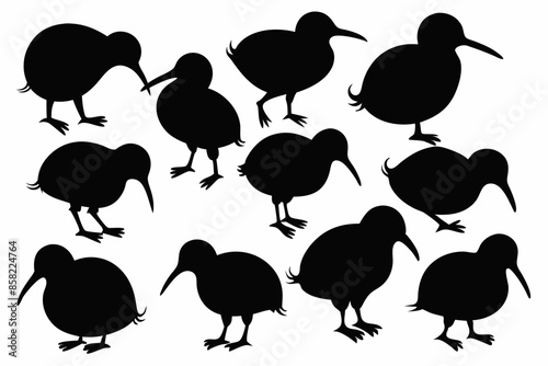 Kiwi Bird Silhouette Vector set, set of kiwi bird animal Vector illustration

