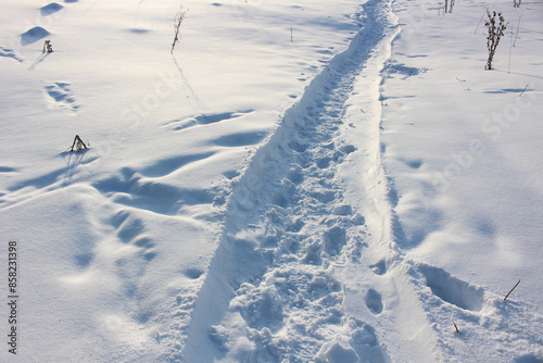The trail through the snow, winter day
