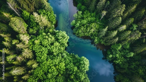 A pristine river winding through a dense forest, with crystal-clear water reflecting the surrounding greenery AI generated