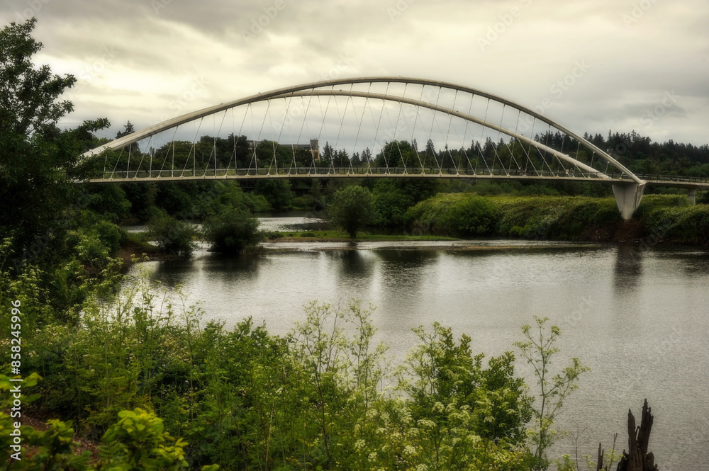 Fototapeta premium bridge over the river