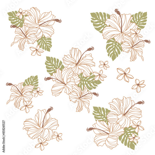 Wallpaper Mural Impressive and beautiful hibiscus illustration collection, Torontodigital.ca