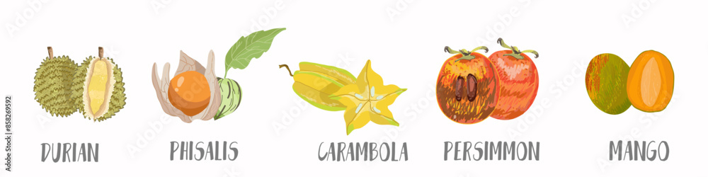 Obraz premium Vector vegetables and fruits, berries icons set in hand drawn style. Collection farm product for restaurant menu, market label.