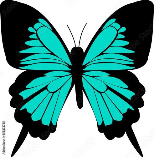 Black and Teal Ulysses Butterfly on a White Background. Lepidoptera Insect Design. Delicate Wings Ornament. Elegant Graphic for Greeting Cards. Summer Wedding Decor.