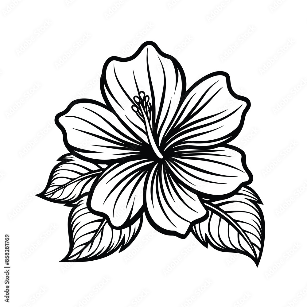Obraz premium Hibiscus flowers in a vintage woodcut engraved etching style. Vector illustration.