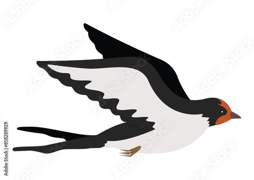 Swallow Bird Clipart Vector Flat Designs
