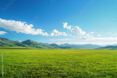 Summer alpine grasslands with blue sky and white cloud background