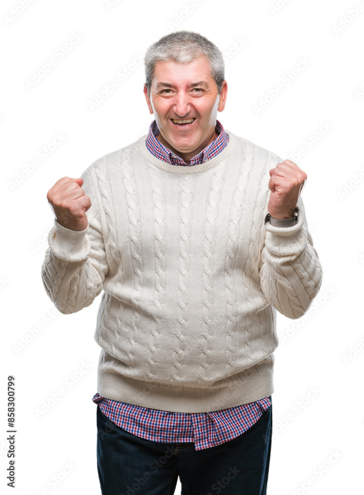 Handsome senior man wearing winter sweater over isolated background very happy and excited doing winner gesture with arms raised, smiling and screaming for success. Celebration concept. Handsome senior man wearing winter sweater over isolated background very happy and excited doing winner gesture with arms raised, smiling and screaming for success. Celebration concept.