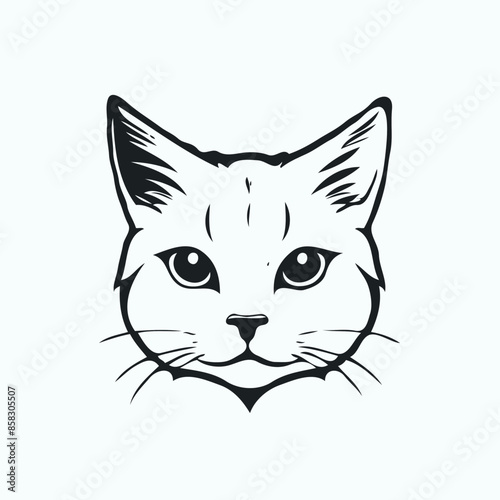 cat with eyes