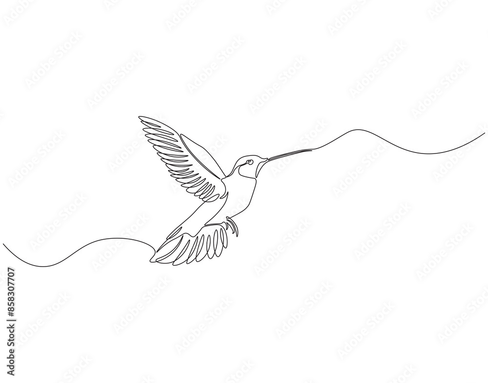 Obraz premium Continuous one line drawing of flying hummingbird. One line drawing illustration of colibri. Flying animal concept Single line. Editable outline.