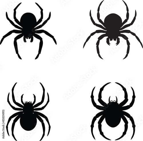 Hand drawn silhouette of a large black spider
