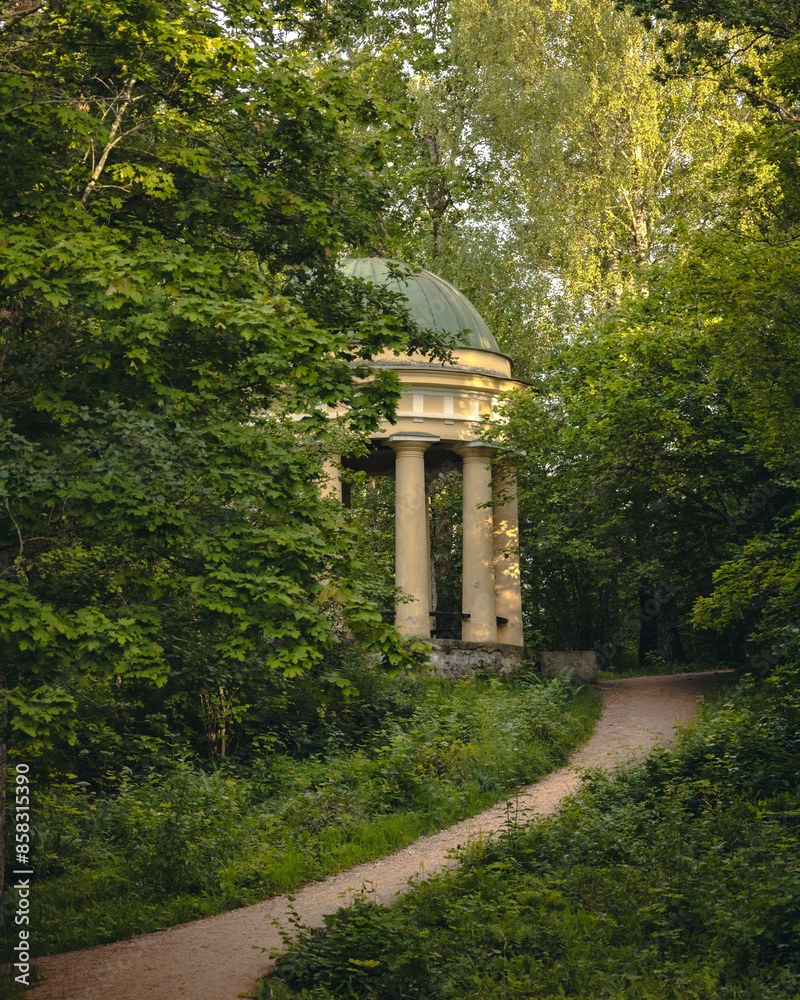 Obraz premium Gazebo in a green forest 