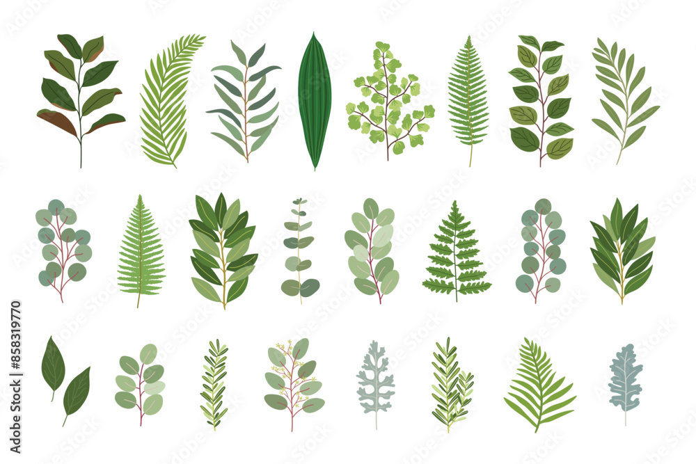Wedding greenery collection. Set of magnolia, eucalyptus, bay, salal, fern, lemon, olive natural leaves. Hand drawn vector illustration Wedding greenery collection. Set of magnolia, eucalyptus, bay, salal, fern, lemon, olive natural leaves. Hand drawn vector illustration