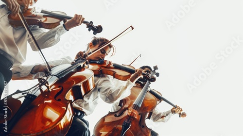 The image shows a string quartet playing music. photo